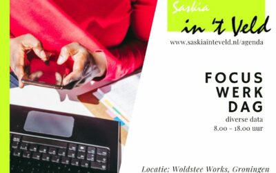 Saskia in 't Veld | Saskia in 't Veld FocusWerkDag